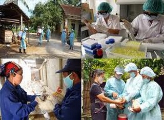 Quyết liệt ngăn chặn dịch cúm H7N9 xâm nhập vào Hà Nội