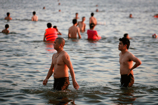 Hồ Tây trở thành bể bơi khổng lồ của người Hà Nội