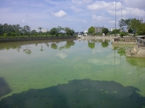 Tắm tại ao làng, hai anh em ruột tử vong