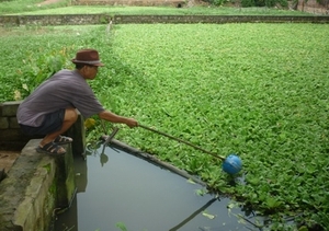 Học sinh lớp 9 giết bé 6 tuổi ném xuống ao