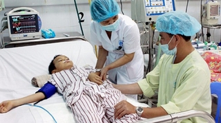 Hà Nội: Ca viêm não Nhật Bản tăng so với năm 2013