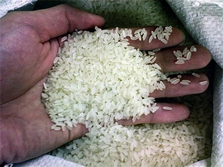 Xác minh thông tin sử dụng hóa chất làm gạo trắng, nở nhiều