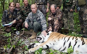 Trung Quốc hứa bảo vệ hổ của ông Putin!