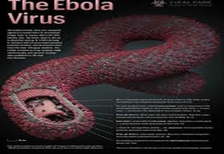 Dịch Ebola diễn biến tồi tệ: Việt Nam họp khẩn cấp