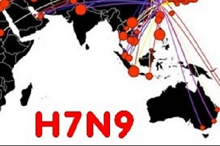 WHO: Cảnh báo nguy cơ mắc cúm A(H7N9)