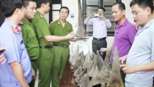 Bộ trưởng Công an khen vụ bắt vận chuyển 31 chiếc sừng tê giác