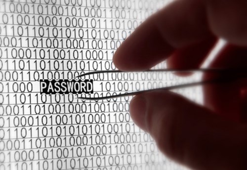 16 công ty muốn 'tiêu diệt' mật khẩu
