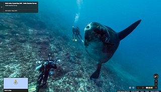 Khám phá đại dương với Google Street View