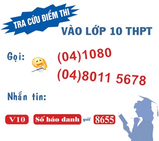 Tổng đài 1080 giúp tra cứu điểm thi vào lớp 10