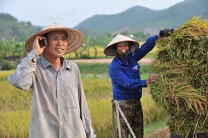 Điều tra hiện trạng phổ cập điện thoại, Internet và nghe nhìn toàn quốc