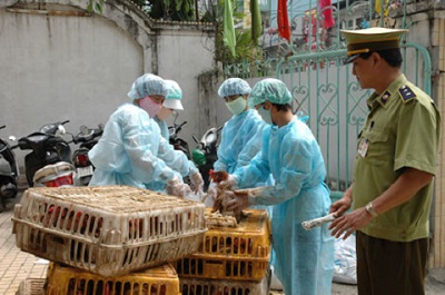 Cúm A/H7N9 có nguy cơ lây lan sang Việt Nam