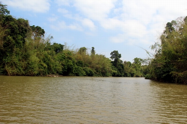 Dự án tuyến đường 18 km sẽ chạy dọc đoạn sông Đồng Nai, đi qua vườn quốc gia Cát Tiên dài 18 km. Ảnh: Hoàng Trường/VnExpress