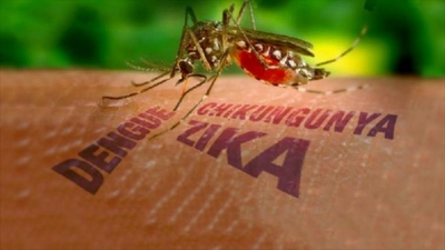 Hé lộ những sự thật khủng khiếp về virus &quot;ăn não&quot; Zika