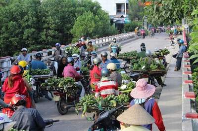 Chợ chuối lớn nhất Nam Trung Bộ chỉ họp vào dịp Tết