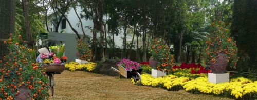 Hình ảnh cổng làng, ụ rơm, xe kéo… quen thuộc được sắp đặt khéo léo giữa muôn vàn sắc hoa. Những gánh hàng hoa chở Xuân xuống phố trong Lễ hội hoa Xuân sắp tới.