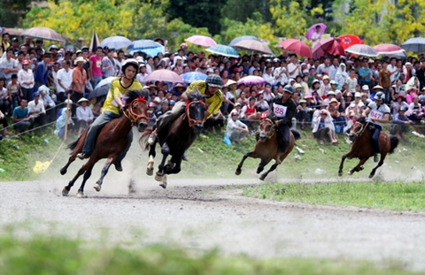 Tháng 6 diễn ra lễ hội đua ngựa truyền thống Bắc Hà