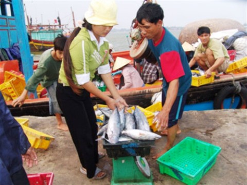 Cấp gạo, miễn lãi suất cho người dân bị ảnh hưởng do cá chết bất thường