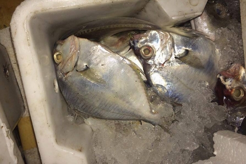 4 tấn cá bốc mùi hôi thối được phát hiện và thu giữ