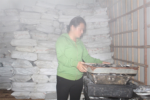 30 tấn cá nục đông lạnh chứa chất cực độc ở Quảng Trị