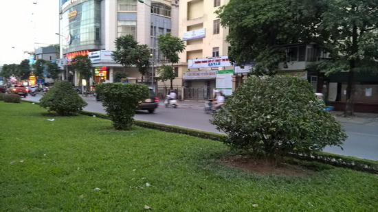 &quot;Cuộc cách mạng&quot; về cây xanh ở Hà Nội