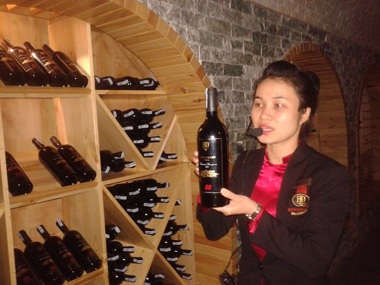 Hướng dẫn viên của lâu đài giới thiệu với du khách về các loại rượu được cất giữ trong hầm cũng như nhiệt độ thích hợp để giữ lạnh cho rượu vang. Hầm luôn được để nhiệt độ 11-12 độ C