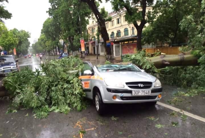 Một xe taxi bị cây đè nát trên đường Lý Thường Kiệt, tài xế trong xe taxi đã tử vong (ảnh: Facebook Hữu Việt)