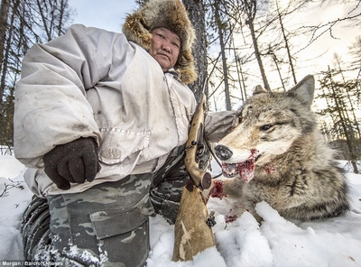 Theo chân thợ săn sói ở Siberia!