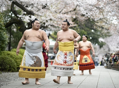 Những điều ít biết về cuộc sống của võ sĩ Sumo