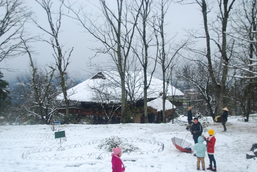 Sa Pa phát triển du lịch nghỉ dưỡng ngắm tuyết rơi mùa đông