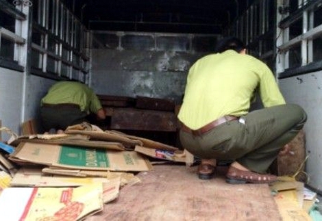 Cảnh sát bắt xe tải vận chuyển gỗ lậu khối lượng lớn