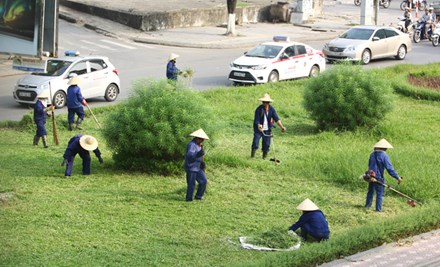 Ngày 9/10, nhiều nhóm công nhân bắt đầu cắt cỏ, tia cây trên tuyến đường Trần Duy Hưng (Hà Nội) sau thời gian tạm dừng.