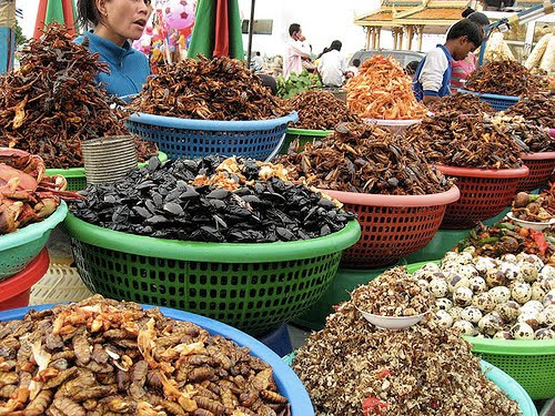 Những sạp hàng côn trùng nướng tại Siem Reap