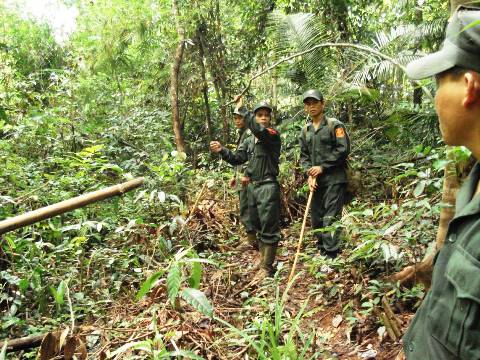 Lực lượng bảo vệ rừng do chủ rừng thành lập và được trang bị súng