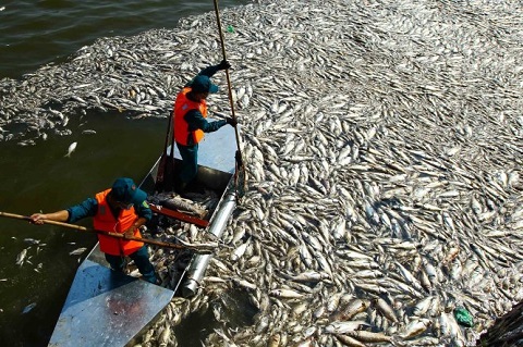 Ô nhiễm nguồn nước ở Việt Nam đến mức độ nào?