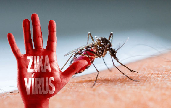 Phát hiện ca nhiễm vi rút Zika đầu tiên tại Bà Rịa - Vũng Tàu