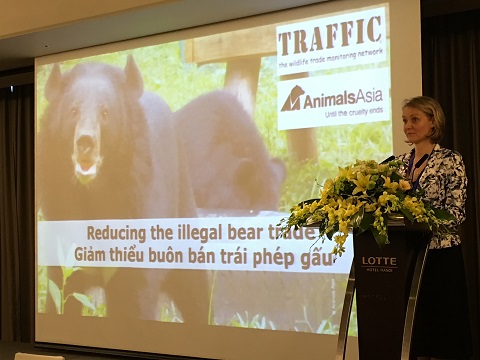 Buôn bán trái phép gấu tại Việt Nam vẫn tiếp diễn