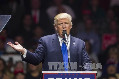 Ông Donald Trump trong cuộc vận động tranh cử tại bang New Hampshire ngày 7/11. Anh: AFP/TTXVN