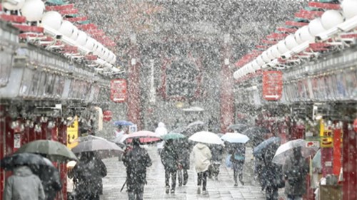 Tokyo lần đầu có tuyết tháng 11 trong hơn nửa thế kỷ ảnh 1 Theo BBC, đợt tuyết này do một khối khí lạnh bất thường tràn qua thành phố gây ra nhưng nhiệt độ vẫn duy trì trên 0 độ khiến tuyết tan chảy chứ không bị kết dính. Lần gần nhất Tokyo có tuyết vào tháng 11 là năm 1962. Ảnh: Kyodo