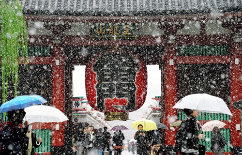 Tokyo lần đầu có tuyết tháng 11 trong hơn nửa thế kỷ ảnh 5 Ít nhất 13 người đã bị thương, chủ yếu do trượt ngã khi đi trên tuyết, trong đó có 4 trường hợp bị gãy xương. Trong ảnh, du khách thích thú ngắm tuyết trước đền Sensoji, một trong những điểm du lịch nổi tiếng nhất ở Tokyo, hôm nay. Ảnh: Asahi Shimbun