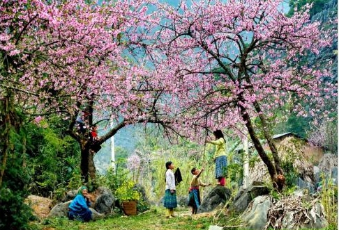 5 hành trình du lịch lý tưởng cho ngày giao mùa Đông- Xuân