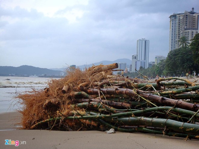 Bãi biển đẹp nhất thế giới biến thành bãi rác khổng lồ sau lũ