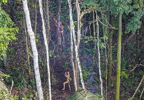 Khu vực này vốn được bao phủ bởi rừng rậm và có những cư dân bản địa. Bức ảnh cho thấy một nhóm người nhỏ, gần như không mặc quần áo, sơn mình và có vũ khí trong tay.