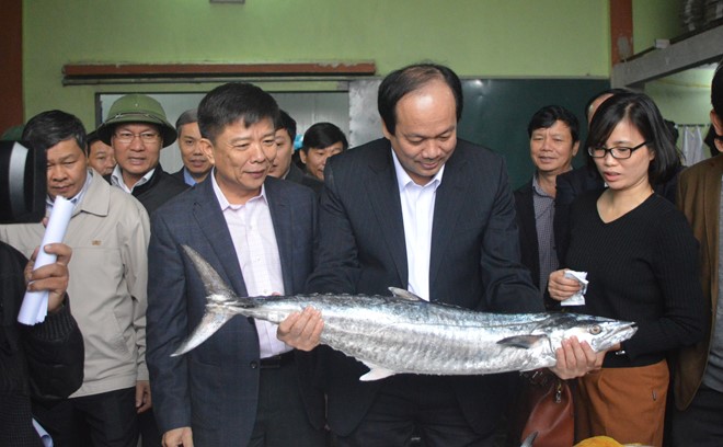Bộ trưởng Mai Tiến Dũng kiểm tra việc tiêu thụ hải sản ở Quảng Bình