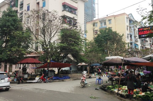 Chợ cóc bày bán tràn lan dưới lòng đường