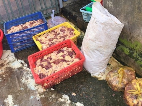 Hãi hùng hàng trăm kg thịt gà tẩm hàn the, chế biến gần cống thoát nước