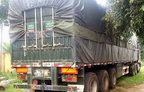 Phát hiện xe container vận chuyển gỗ lậu số lượng lớn