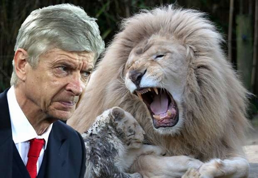 Thua đau Man City, ông Wenger ví &quot;trọng tài như sư tử vườn thú&quot;!