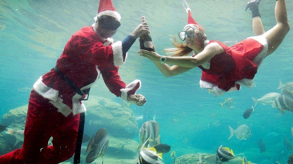  Hai nhân viên trong khu bảo tồn đại dương ở Nam Phi trong trang phục chào đón Giáng sinh.