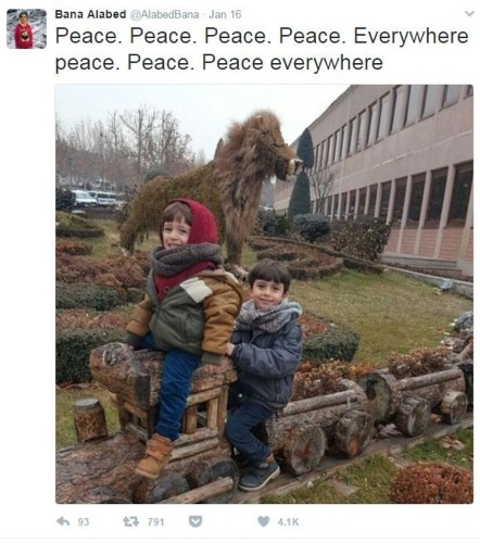 Kể từ khi đến Thổ Nhĩ Kỳ, tài khoàn Twitter của Bana Alabed đã liên tục kêu gọi hòa bình