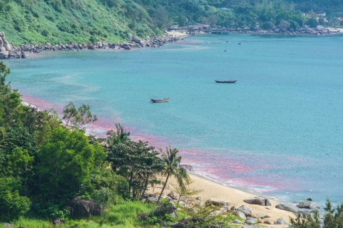 Đà Nẵng: Xác minh thông tin vệt nước đỏ xuất hiện ở biển